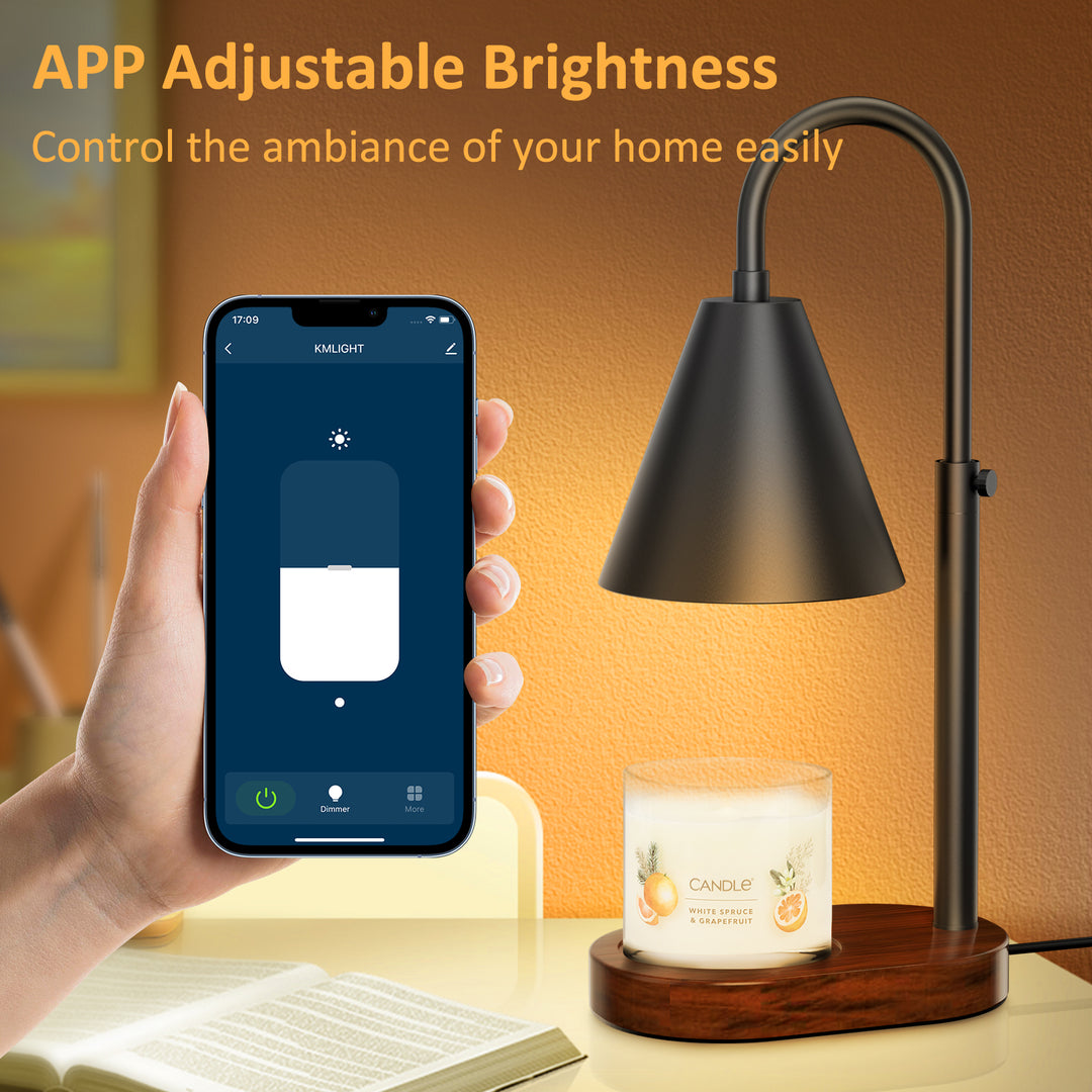 REIDEA ES1 App Controlled Candle Warmer Lamp