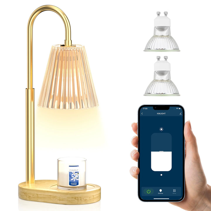 REIDEA ES1 App Controlled Candle Warmer Lamp